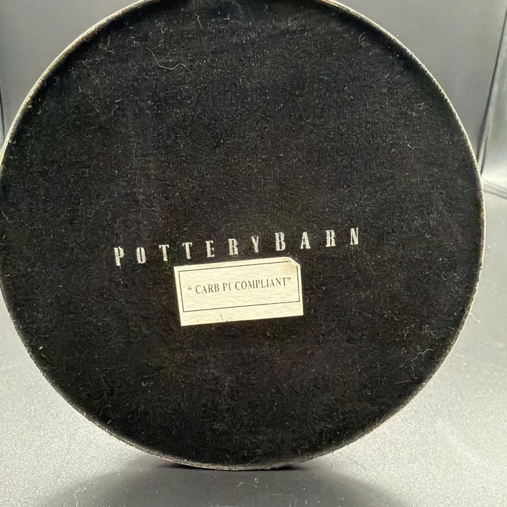 Pottery Barn Silver Brushed Nickel Jewelry Stand‎ 17.5